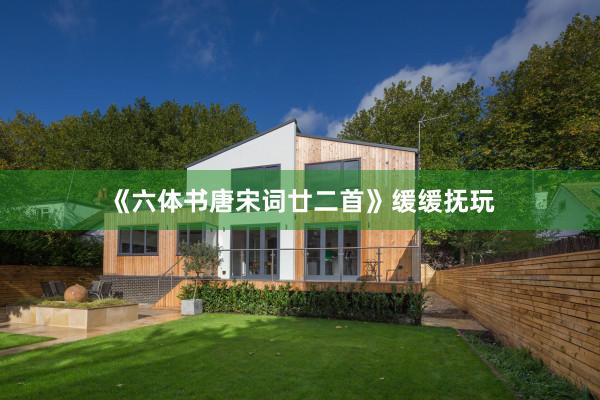 《六体书唐宋词廿二首》缓缓抚玩