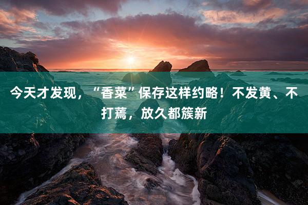 今天才发现，“香菜”保存这样约略！不发黄、不打蔫，放久都簇新