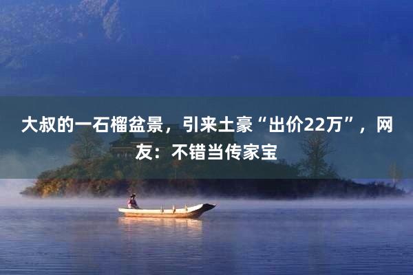 大叔的一石榴盆景，引来土豪“出价22万”，网友：不错当传家宝
