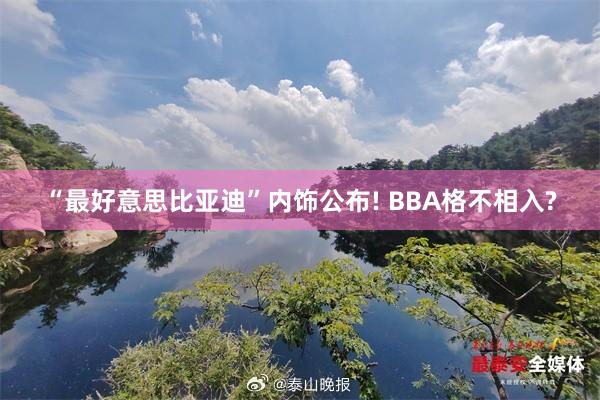 “最好意思比亚迪”内饰公布! BBA格不相入?