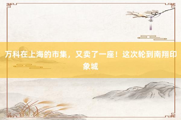 万科在上海的市集，又卖了一座！这次轮到南翔印象城