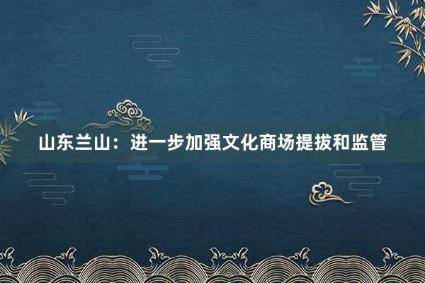 山东兰山：进一步加强文化商场提拔和监管