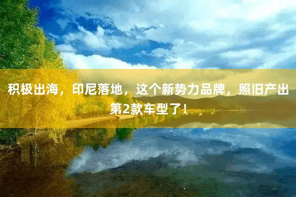 积极出海，印尼落地，这个新势力品牌，照旧产出第2款车型了！