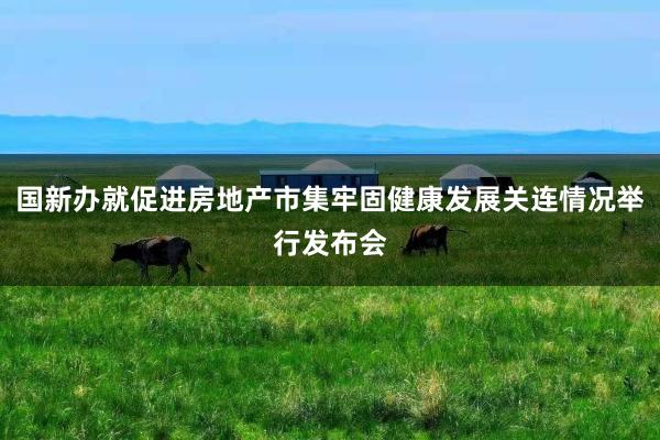 国新办就促进房地产市集牢固健康发展关连情况举行发布会